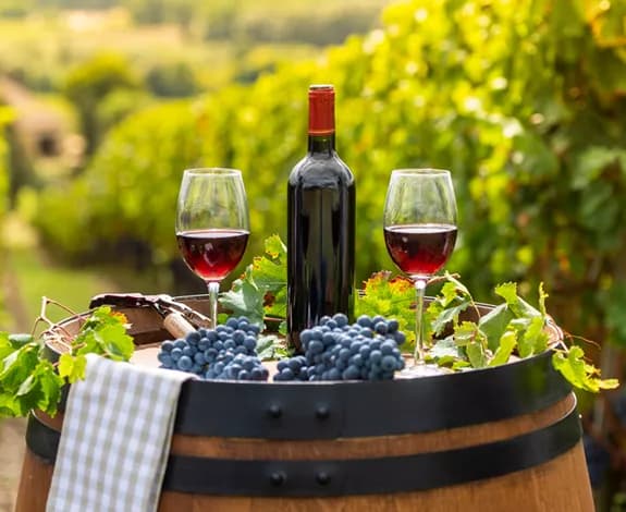 Welcome pack provisions photograph