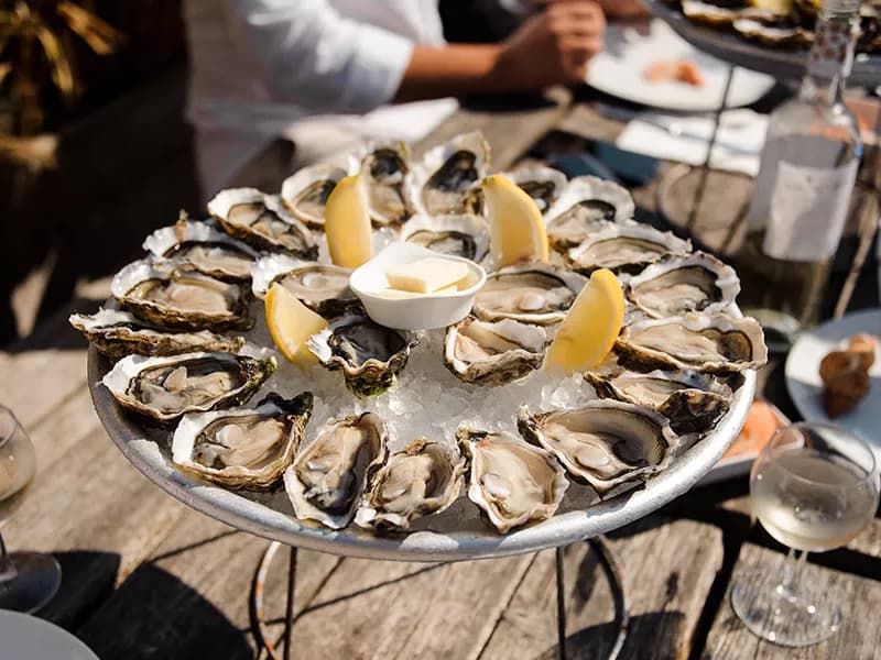 Circular plate with a ring of oysters
